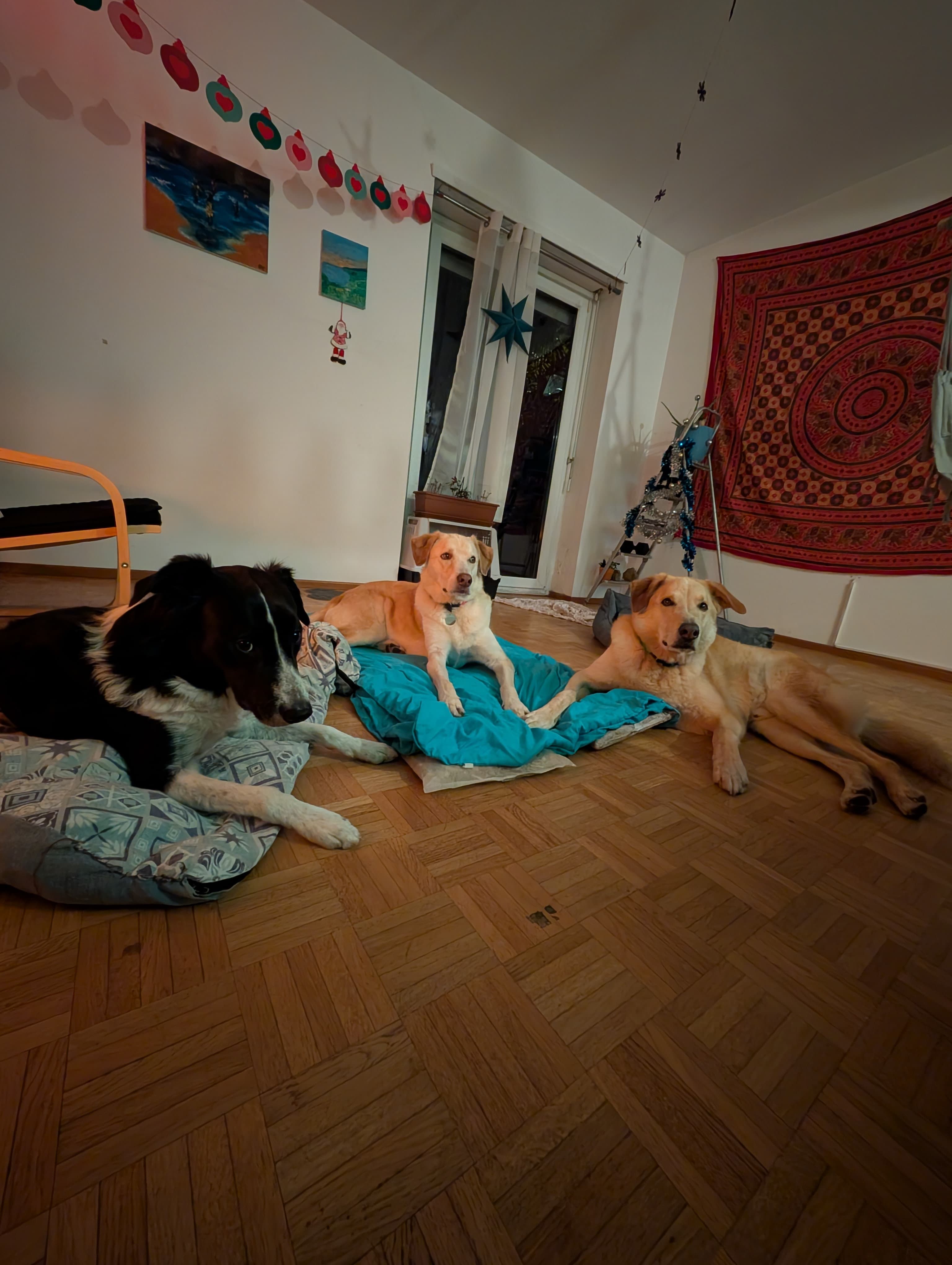 Passeggiata con i nostri ospiti