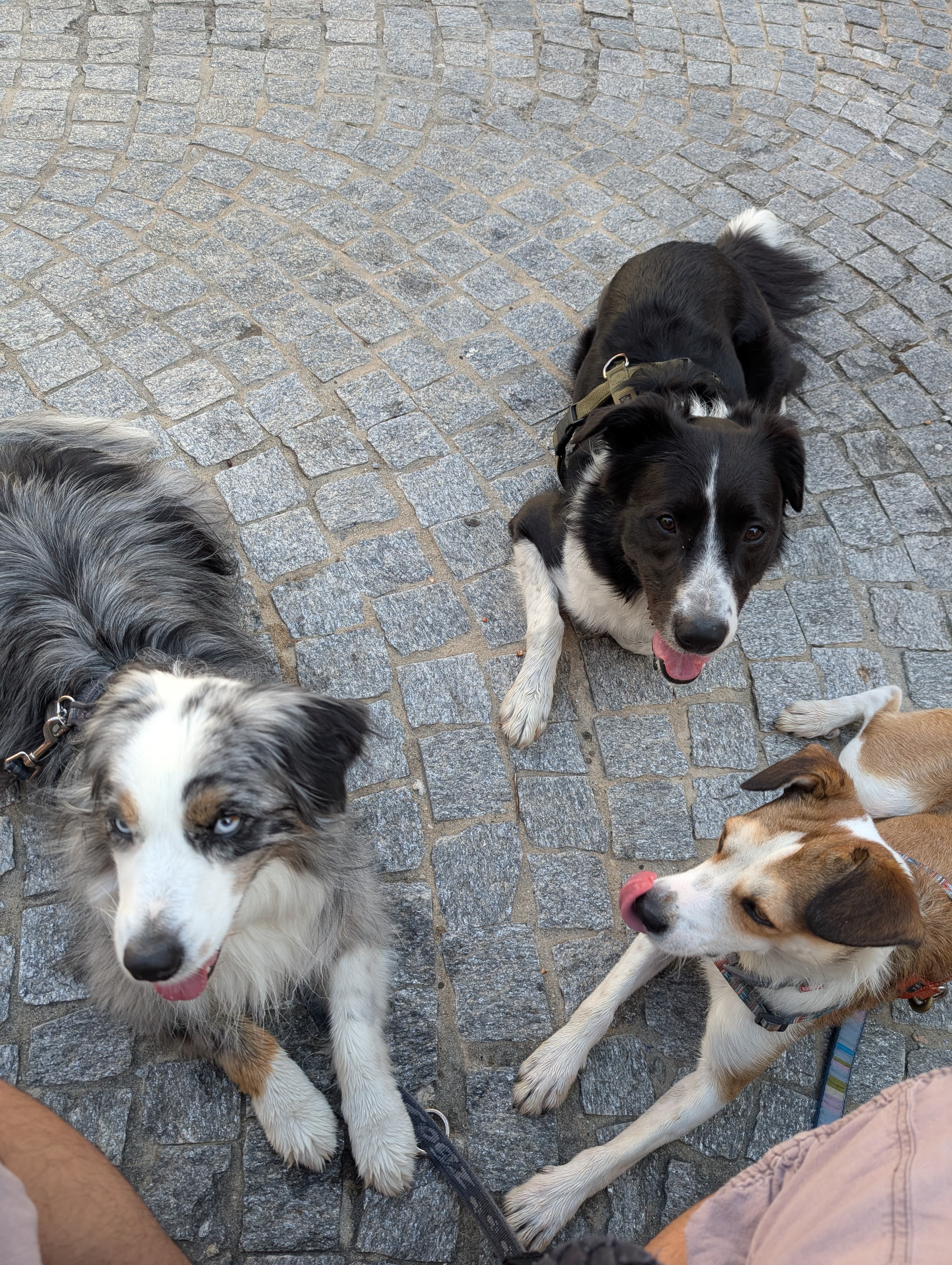 Passeggiata con i nostri ospiti