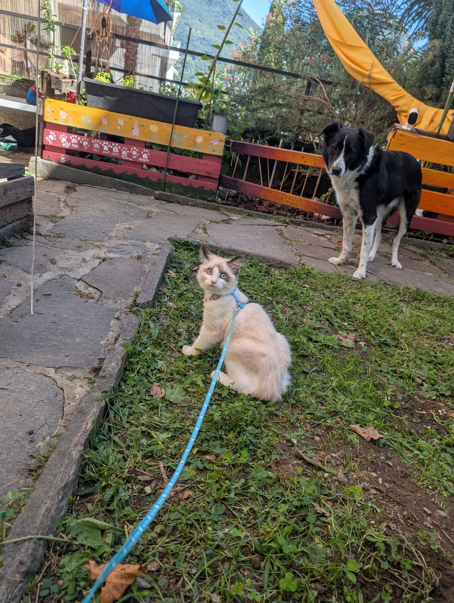 Passeggiata con i nostri ospiti