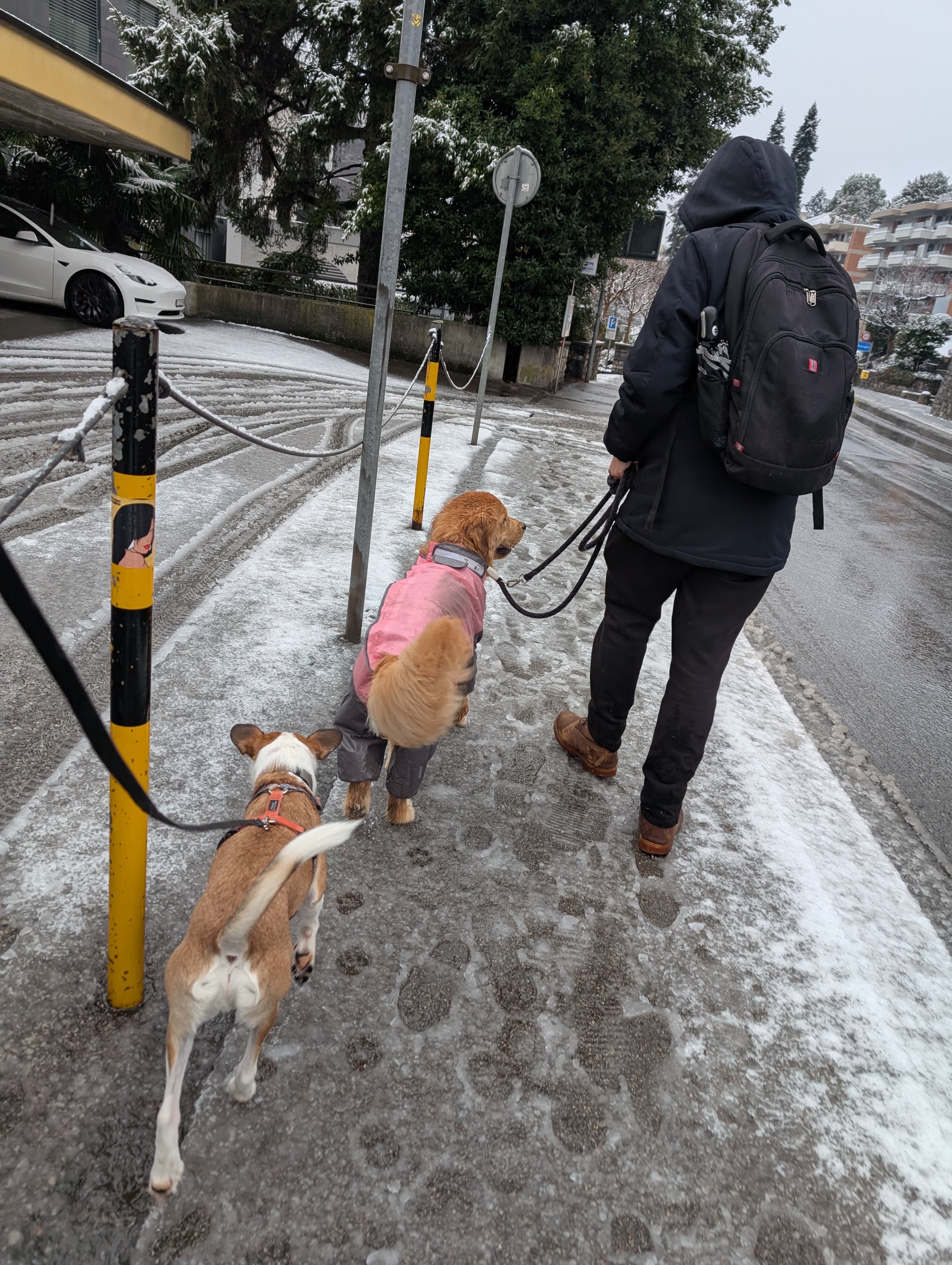 Passeggiata con i nostri ospiti