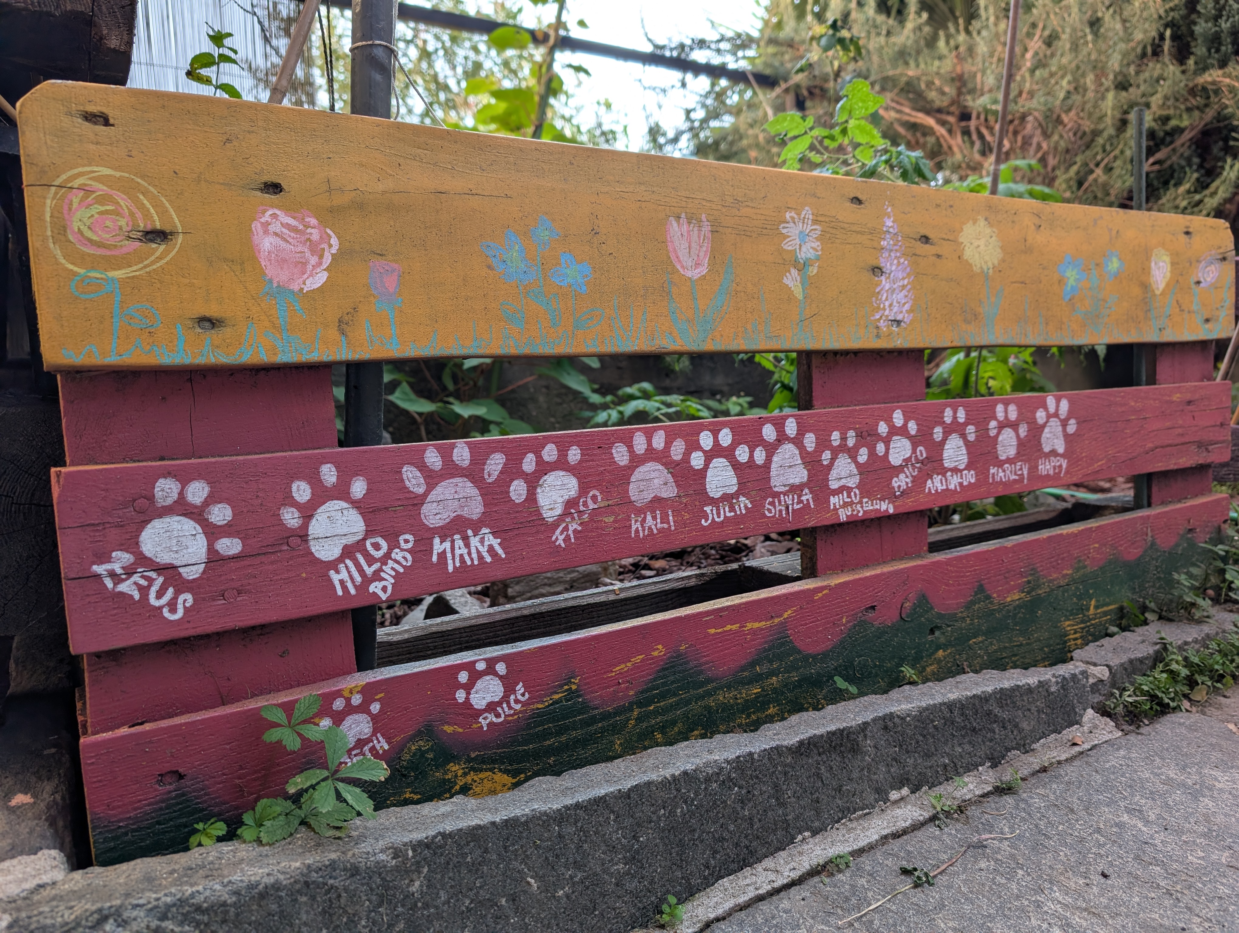 La Tana dei Pawz - Le zampette dei nostri ospiti